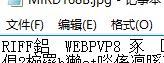 怎样打开RIFF格式的jpg图片