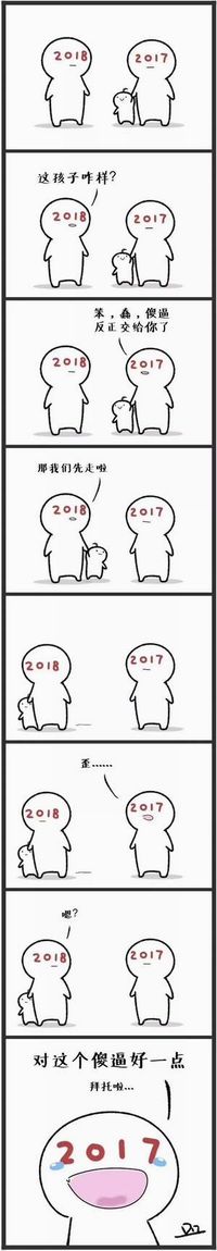 2017年回顾