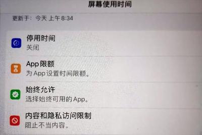 ipad找不到app store